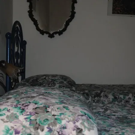 Calciufetta Bed & Breakfast