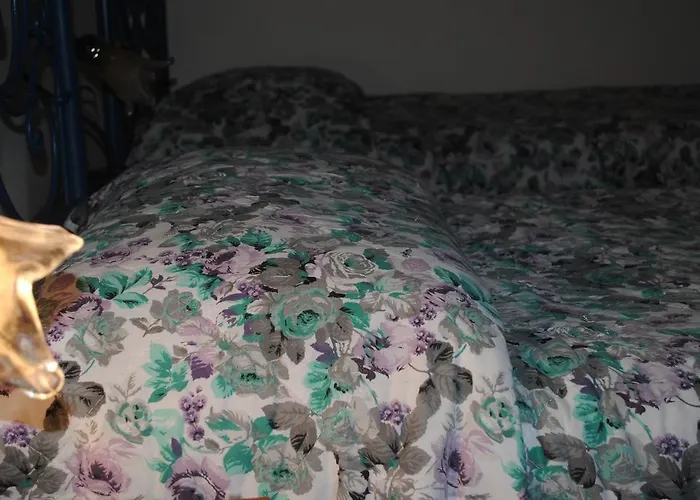 Calciufetta Oda ve Kahvaltı 2*