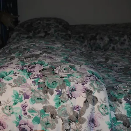 Calciufetta Bed and Breakfast 2*