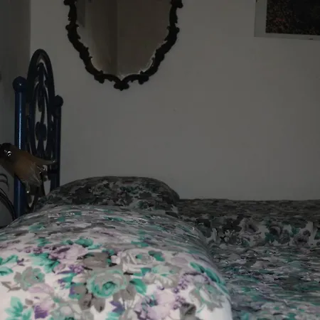 Calciufetta Bed & Breakfast